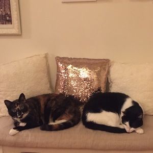 Meet your Posher, Jane